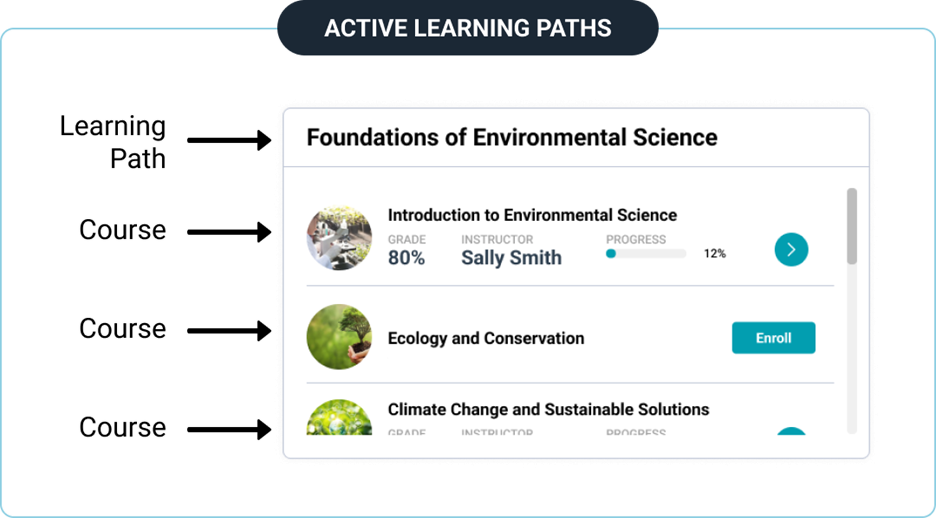 Screenshot of Learning Paths