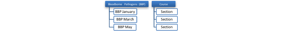 Example of a Course with Multiple Sections