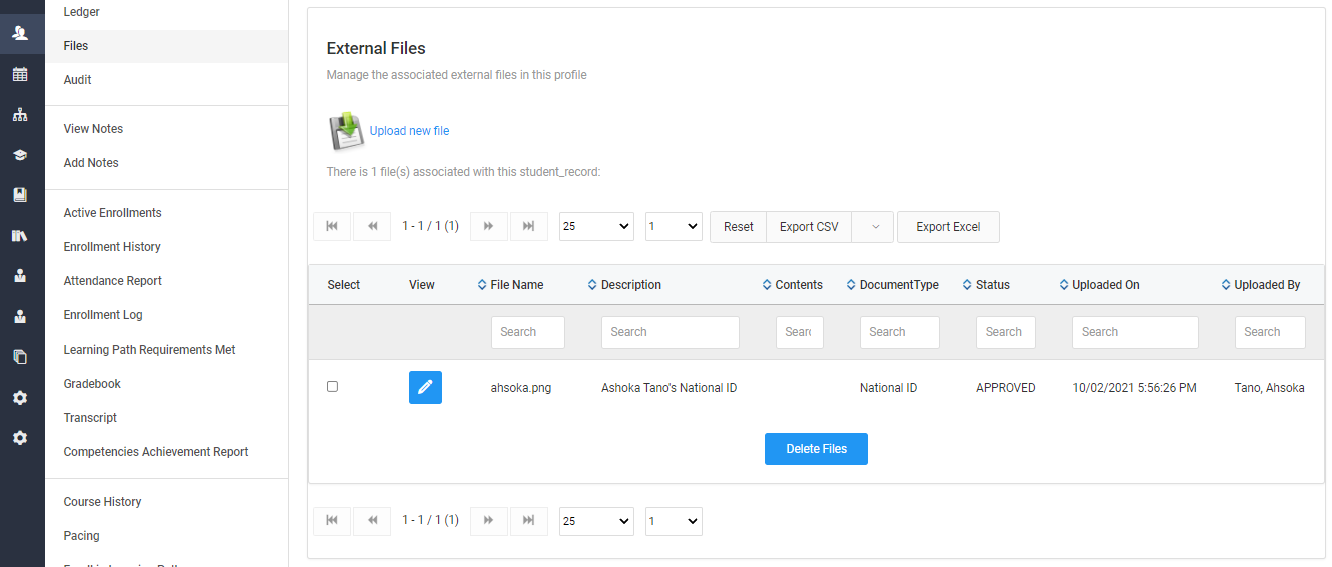Screenshot of External Files